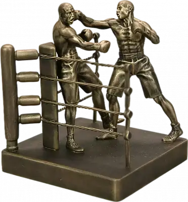 Боксерский бой в ринге
